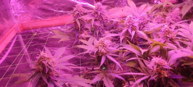 WhatsApp Image 2024-04-20 at 10.05.18 (3).jpeg WhatsApp Image 2024-04-20 at 10.05.18 (3).jpeg