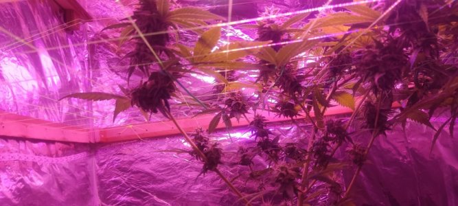 WhatsApp Image 2024-04-20 at 10.05.18 (2).jpeg WhatsApp Image 2024-04-20 at 10.05.18 (2).jpeg