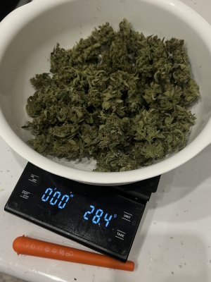 IMG_2069.JPG IMG_2069.JPG