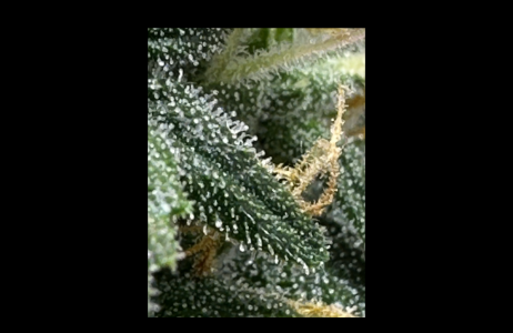 Снимок экрана 2024-04-20 в 21.29.56.png