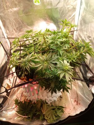 2024-04-21 164433.jpg