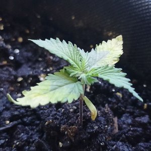 1713797573397.jpg 1713797573397.jpg