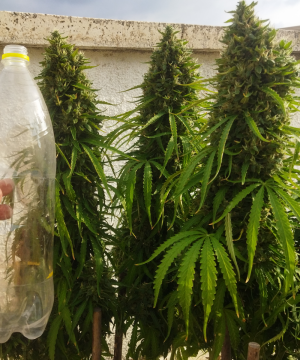 IMG_20221012_160747.png IMG_20221012_160747.png