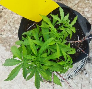 32123123.jpg 32123123.jpg