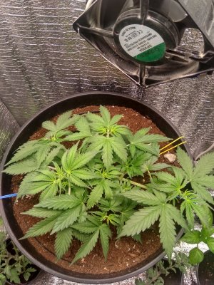 IMG_20240426_050430.jpg IMG_20240426_050430.jpg