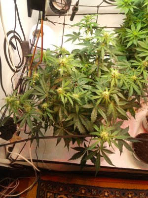 2024-04-27 120004.jpg