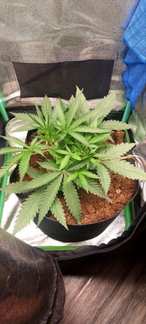 2024.04.28 - 20 день.jpg 2024.04.28 - 20 день.jpg