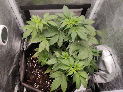 1000018049.jpg 1000018049.jpg