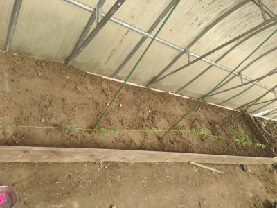 IMG_20240501_141141.jpg IMG_20240501_141141.jpg