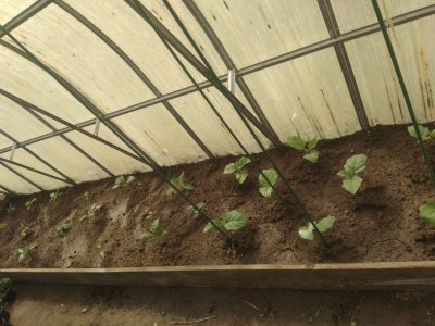 IMG_20240501_141149.jpg IMG_20240501_141149.jpg