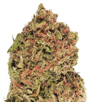 1714662493474.png 1714662493474.png