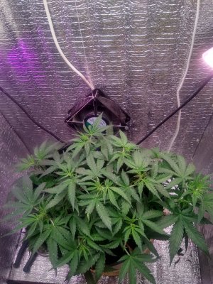 IMG_20240506_125904.jpg IMG_20240506_125904.jpg