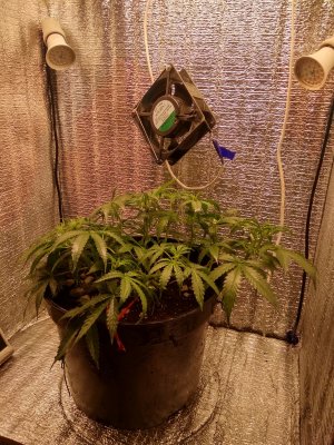 IMG_20240507_144102.jpg IMG_20240507_144102.jpg