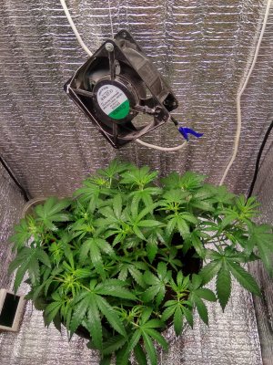 IMG_20240507_144053.jpg IMG_20240507_144053.jpg