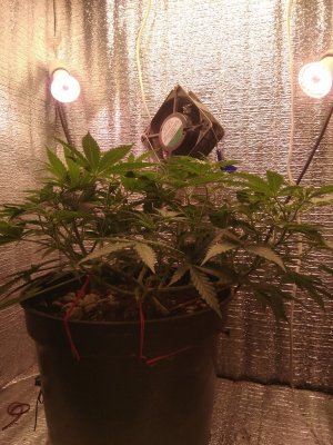 IMG_20240510_131135.jpg IMG_20240510_131135.jpg