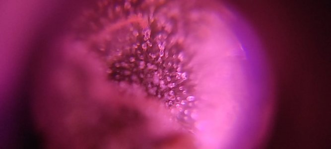 WhatsApp Image 2024-05-18 at 13.34.30.jpeg WhatsApp Image 2024-05-18 at 13.34.30.jpeg