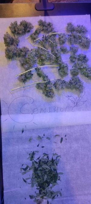 WhatsApp Image 2024-05-18 at 13.06.04 (1).jpeg WhatsApp Image 2024-05-18 at 13.06.04 (1).jpeg