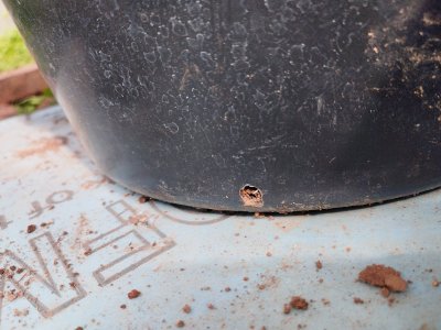 IMG_20240518_101358.jpg IMG_20240518_101358.jpg