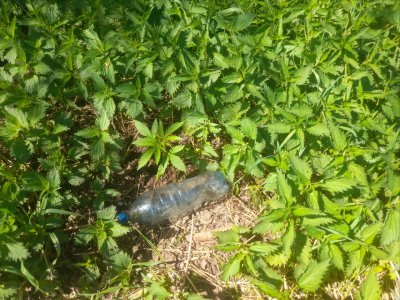 IMG_20240522_155547_528.jpg IMG_20240522_155547_528.jpg