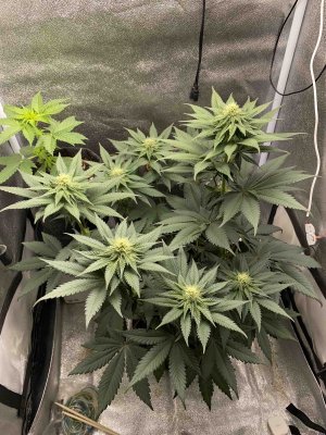 111222.jpg 111222.jpg