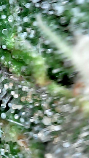 2024_05_12_10_38_50_387.png 2024_05_12_10_38_50_387.png