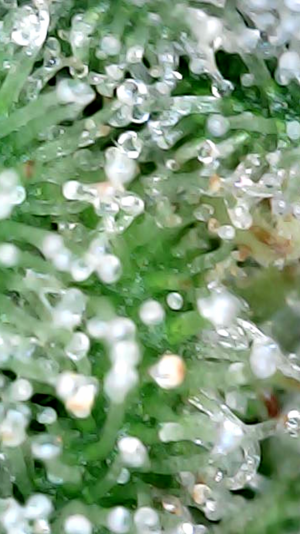 2024_05_12_10_39_04_610.png 2024_05_12_10_39_04_610.png