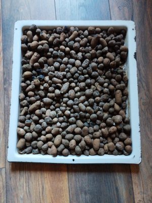 IMG_2024_05_25_14_13_33_5397662530545936404474.jpg IMG_2024_05_25_14_13_33_5397662530545936404474.jpg