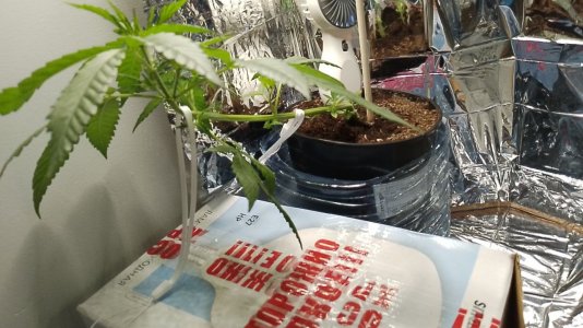 photo_2024-05-26_16-44-50.jpg photo_2024-05-26_16-44-50.jpg