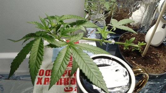 photo_2024-05-26_16-44-46.jpg photo_2024-05-26_16-44-46.jpg