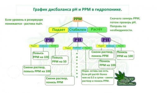 IMG_20240529_104854_697.jpg IMG_20240529_104854_697.jpg