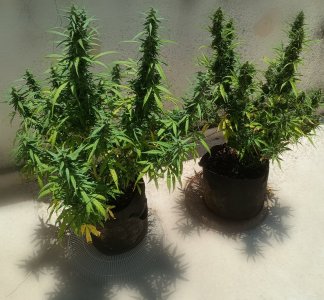 aserfgw3erfgwefwefwef.jpg aserfgw3erfgwefwefwef.jpg