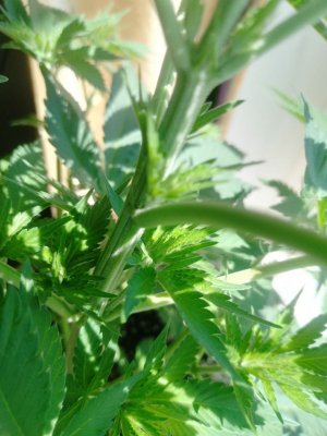 photo_2_2024-05-30_10-33-58.jpg photo_2_2024-05-30_10-33-58.jpg