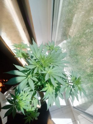 photo_1_2024-05-30_10-33-58.jpg photo_1_2024-05-30_10-33-58.jpg