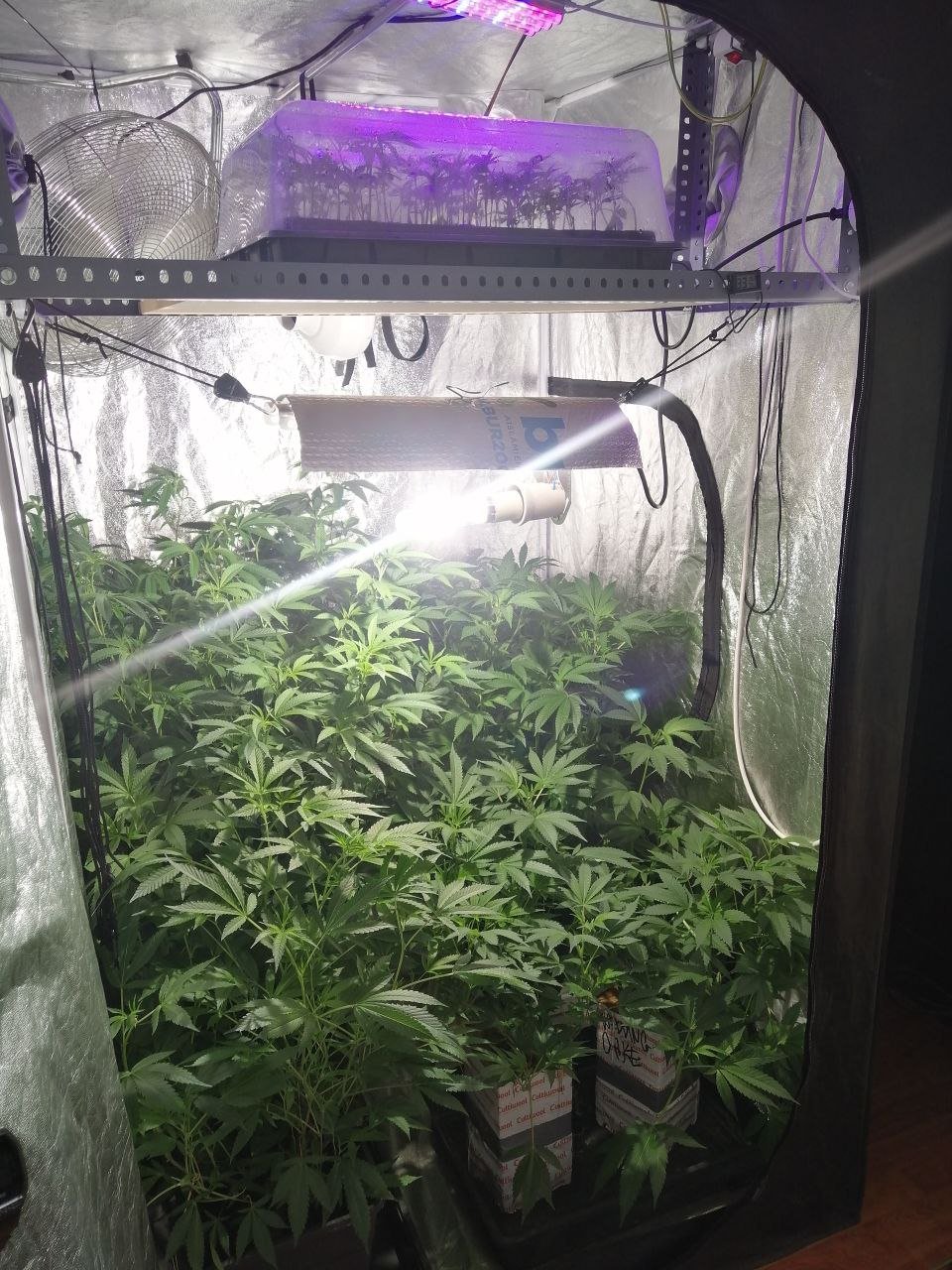 IMG_20220223_233815_696.jpg IMG_20220223_233815_696.jpg