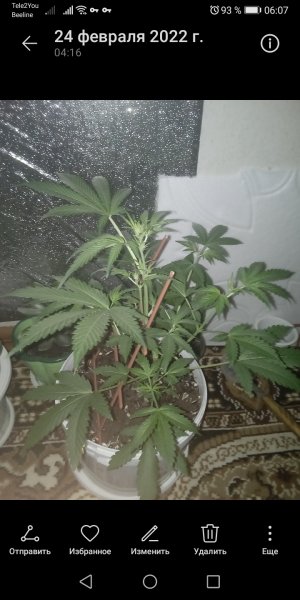 Screenshot_20220224_060736_com.huawei.photos.jpg Screenshot_20220224_060736_com.huawei.photos.jpg