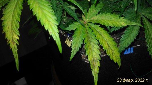 P_20220223_091912_1_p.jpg P_20220223_091912_1_p.jpg