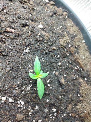 IMG_20220224_100549 (1).jpg