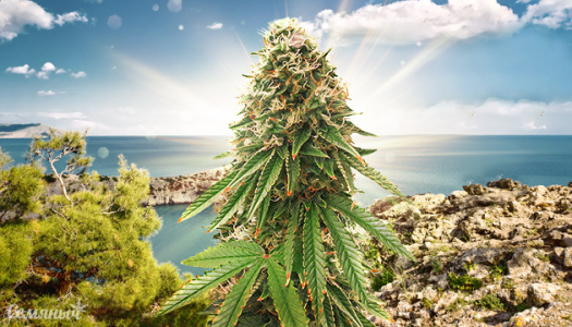 1645806453966.png 1645806453966.png