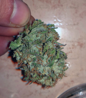 1645968753288.png 1645968753288.png