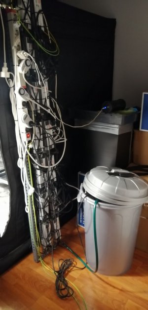 IMG_20220303_181304_442.jpg IMG_20220303_181304_442.jpg