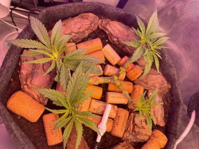 03.03(2).jpg 03.03(2).jpg