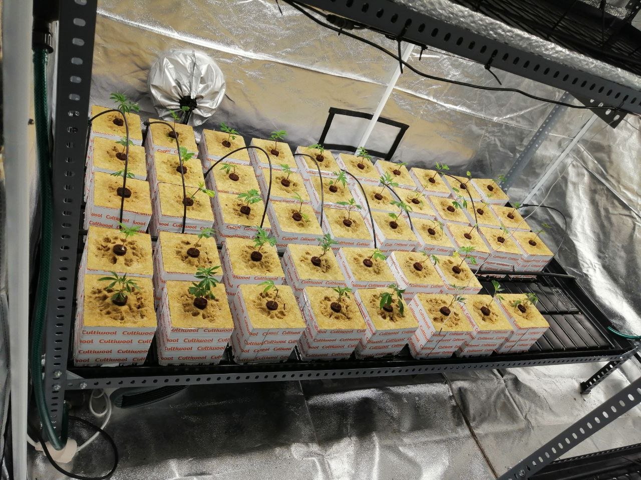 IMG_20220304_212101_256.jpg IMG_20220304_212101_256.jpg