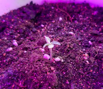 20220305_084940.jpg 20220305_084940.jpg