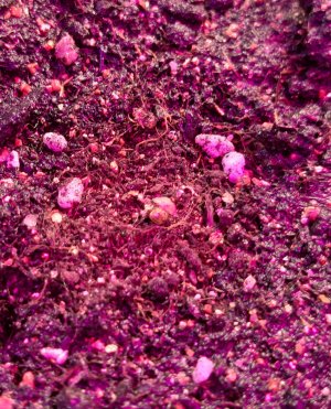 20220305_084957.jpg 20220305_084957.jpg