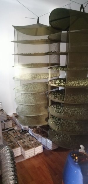 IMG_20220305_080705_794.jpg IMG_20220305_080705_794.jpg