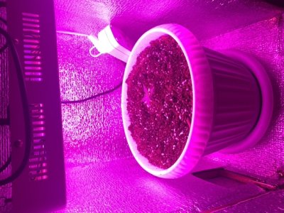 071FD8B6-5593-448E-8221-1068BB8A85D5.jpeg 071FD8B6-5593-448E-8221-1068BB8A85D5.jpeg