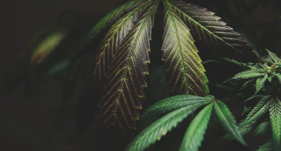 1646737777727.png 1646737777727.png