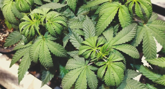 1646737914386.png 1646737914386.png