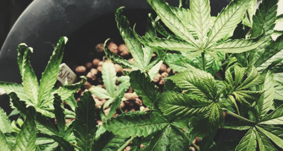 1646738046908.png 1646738046908.png