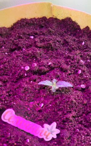 20220309_101244.jpg 20220309_101244.jpg